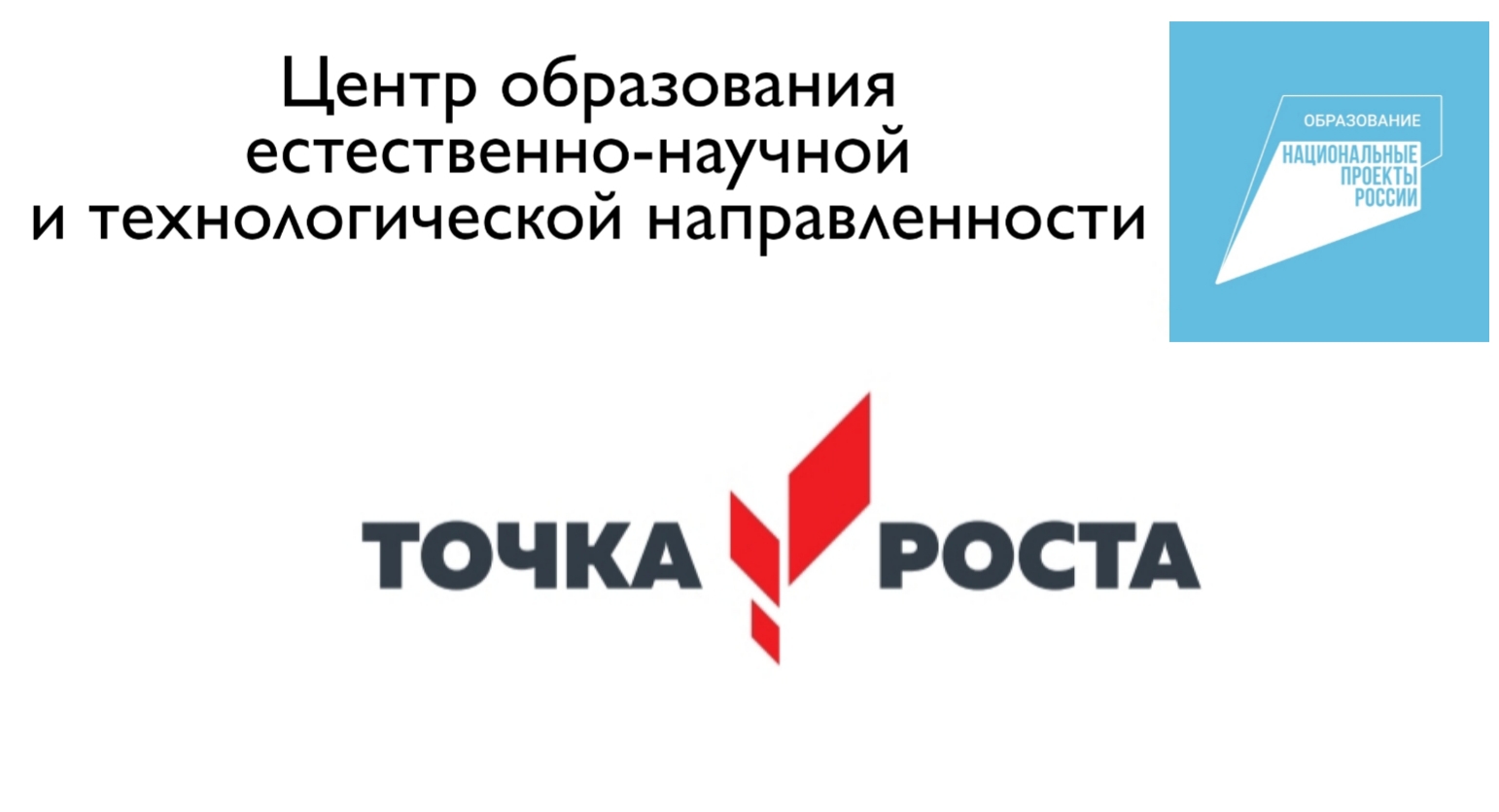 логотип Точки Роста.